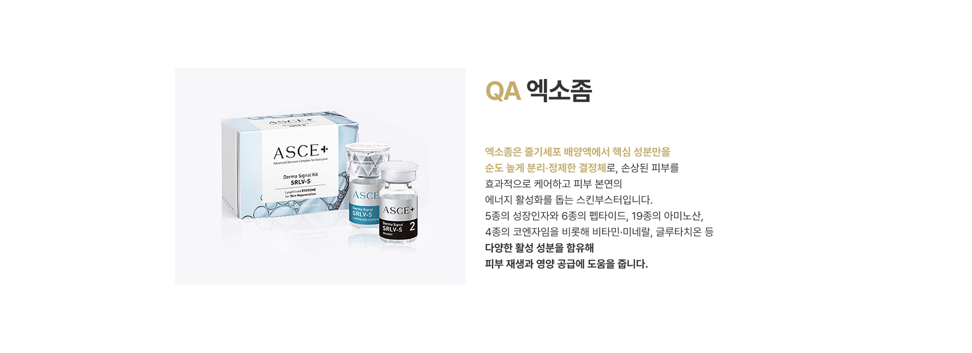 QA 엑소좀 줄기세포 배양액에서 핵심 성분만을 순도 높게 분리 정제한 결정체