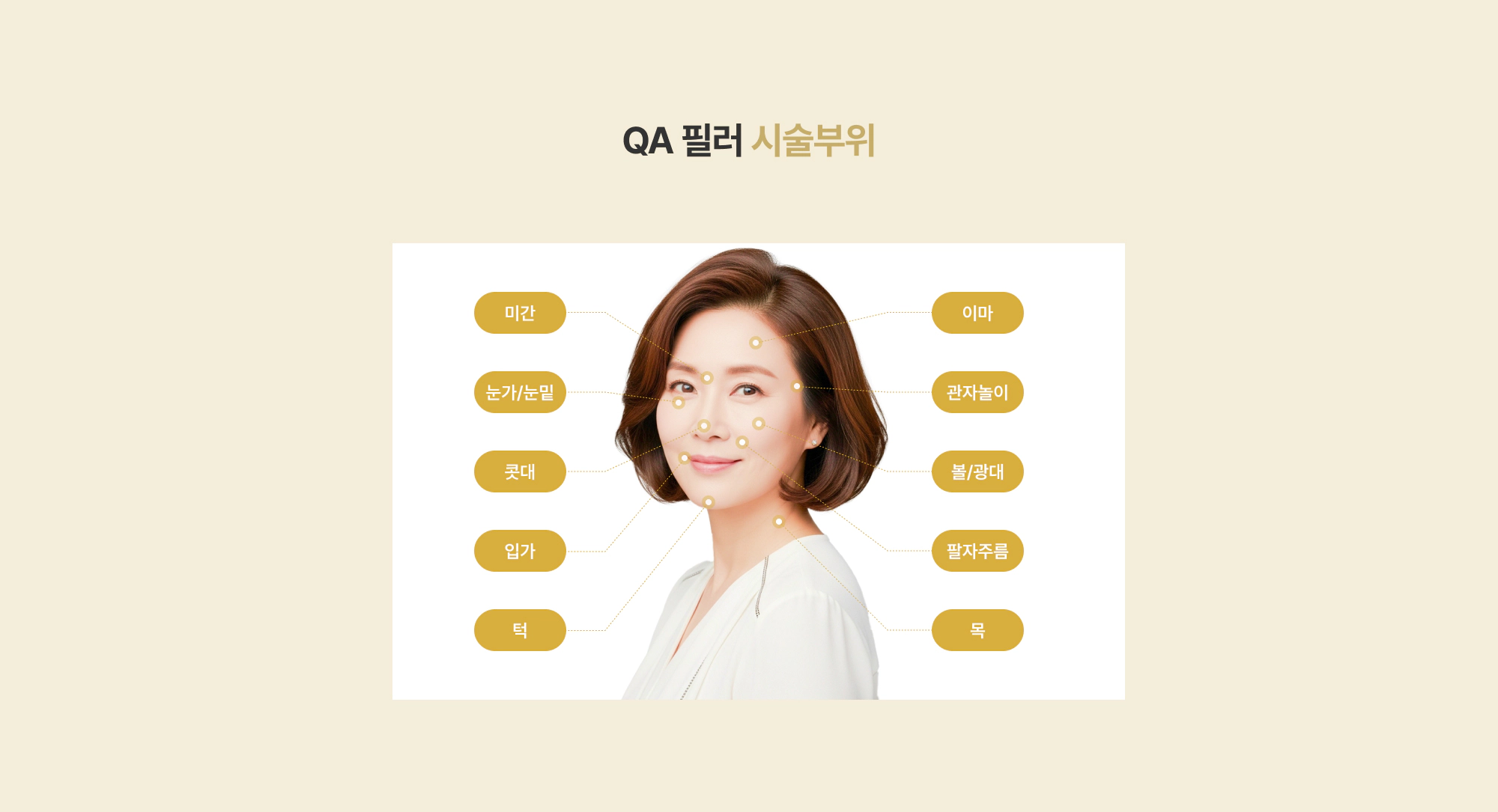 QA 필러 시술부위 미간 눈가 콧대 입가 턱 이마 관자놀이 볼 팔자주름 목