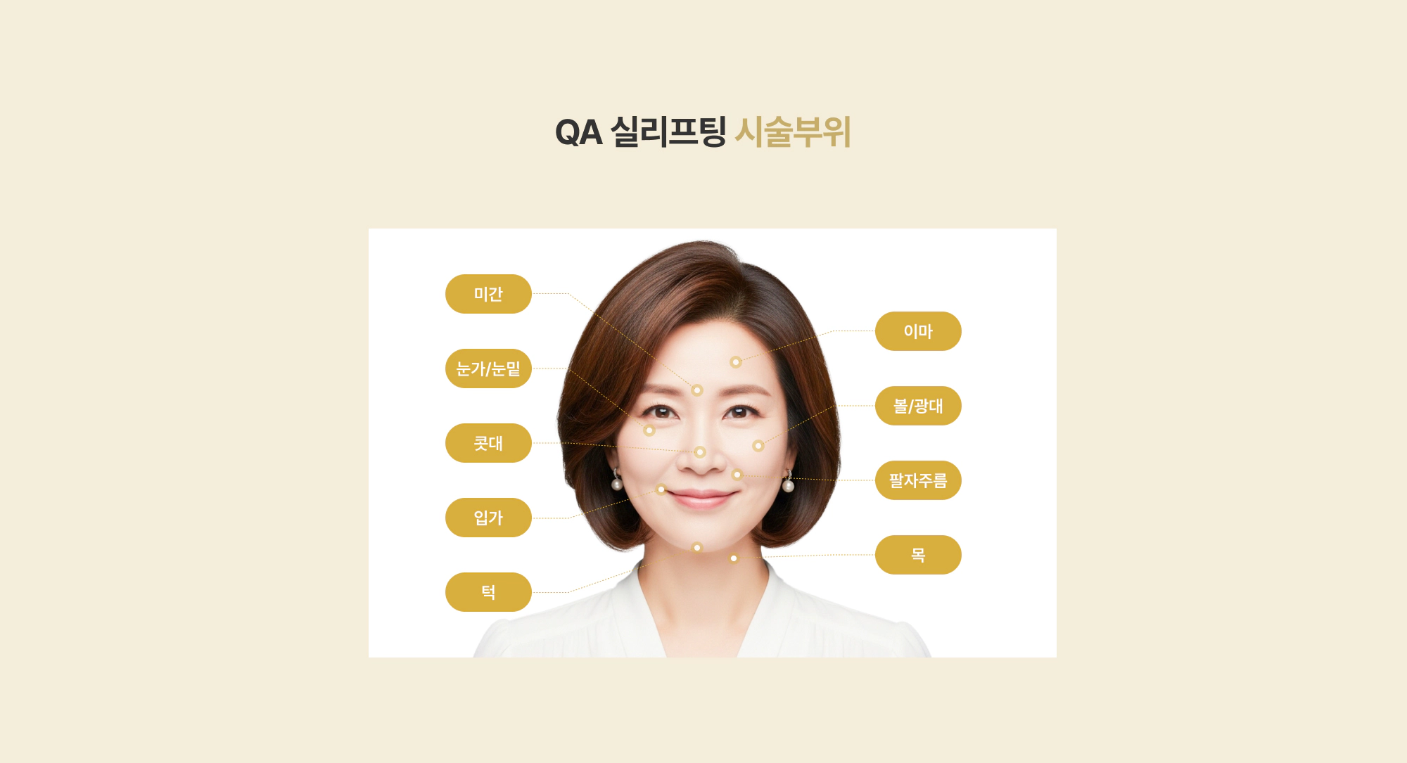 QA 실리프팅 시술부위 미간 눈가 콧대 입가 턱 이마 볼 팔자주름 목